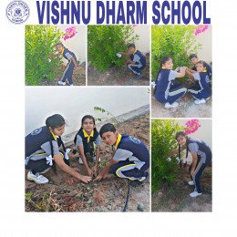 vishnu dharm school images